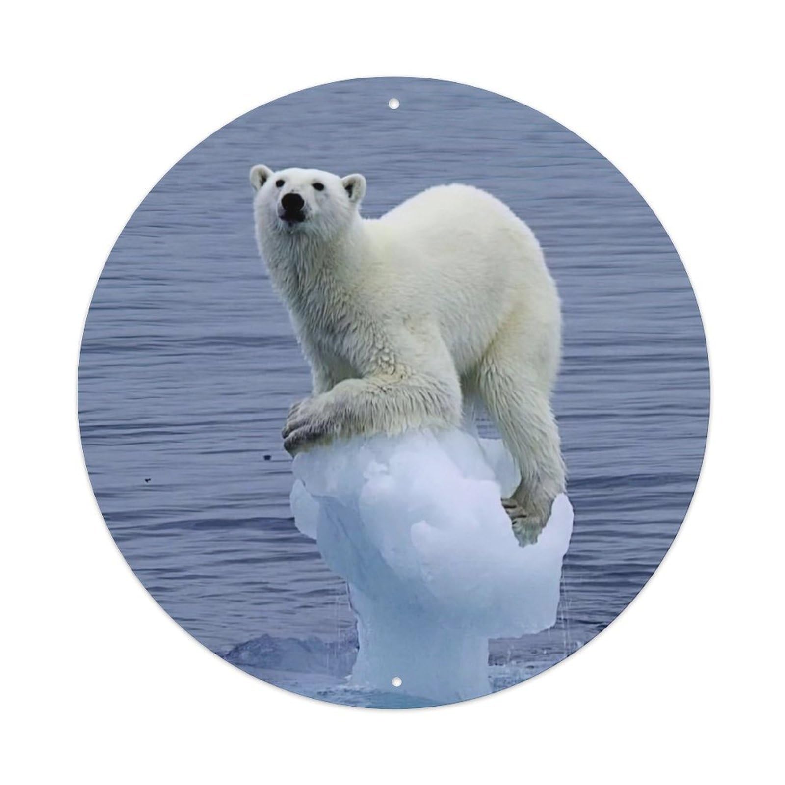 Arctic Animals Polar Bear Vintage Metal Tin Sign Plaque Wall Decor for Cafe, Club Bar, Office, Garden Metal Poster 8x8Inch