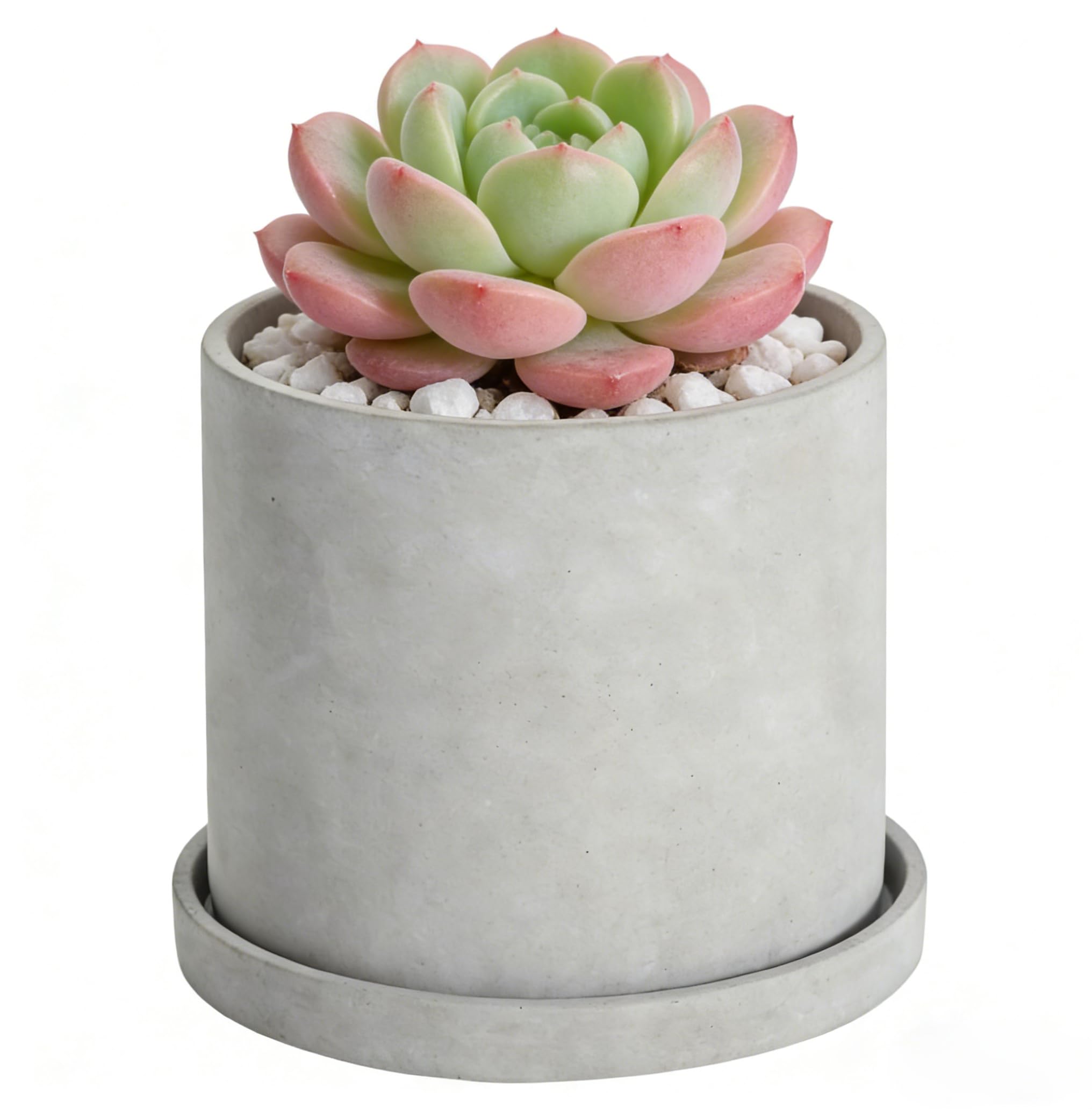 Ekirlin 6 Inch Cement Pot
