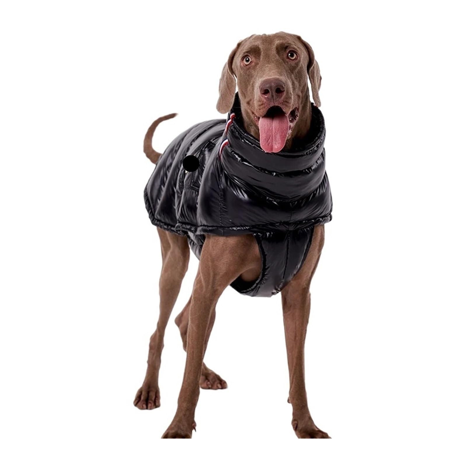 Cappottino invernale per cani, antivento, in piumino ispessito, con fodera in pile, per bulldog francese e tutte le razze (blu, 5)