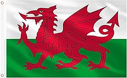 AhfuLife Welsh Flag 5ft x 3ft for St.David's Day Decorations, 1Pcs Large Wales Dragon Flag Double Side with Brass Eyelets for Rugby Football World Cup Garden Street Party Accessories