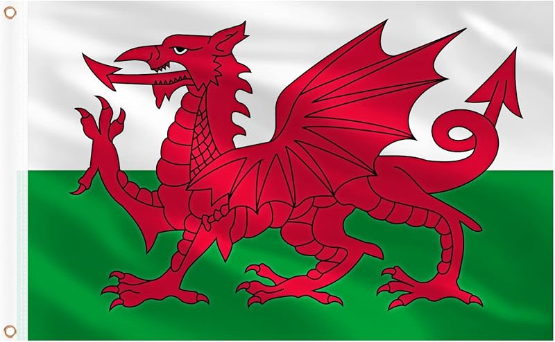 AhfuLife Welsh Flag 5ft x 3ft for St.David's Day Decorations, 1Pcs Large Wales Dragon Flag Double Side with Brass Eyelets for Rugby Football World Cup Garden Street Party Accessories
