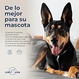 Ver la foto 6