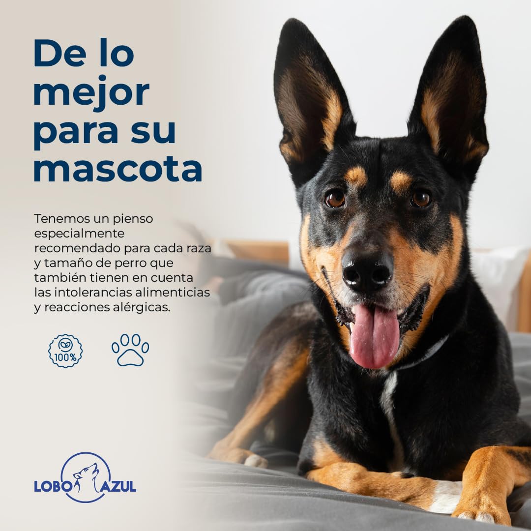 Pienso Salmón para Perros Adultos - Comida Natural con Salmón, Libre de transgénicos, Sin Gluten. - Alimento Hipoalergénico y Digestible - Lobo Azul Supreme 15kg