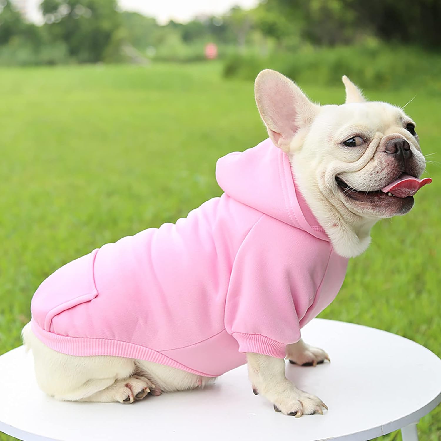 Ropa Para Gato Sudadera De Punto Acogedora Para Perros Con