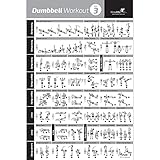 NewMe Fitness Dumbbell 20x30 Workout Exercise Poster - Strength Training Chart - Home Gym Weight Lifting Routine - Body Building Guide (Vol 3)