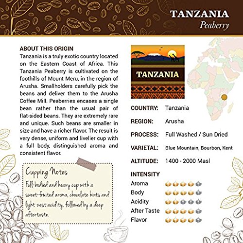 Tanzania Peaberry Coffee - Ground Coffee - Freshly Roasted Coffee - Cubico Coffee - 12 Ounce (Single Origin Peaberry Tanzanian Coffee) #TOP1