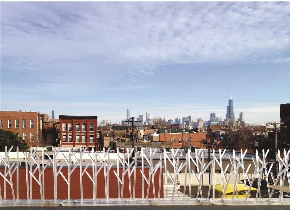 Bird-X Plastic Polycarbonate Bird Spikes, Regular Bird Spikes for Pigeons and Other Small Birds, Contains 25 Pieces of 1' L x 6.5" W Strips, Covers a 25 ft. Area