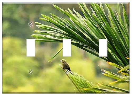 Switch Plate Triple Toggle - Nature Wild Birds Finlandia Quindio Colombia