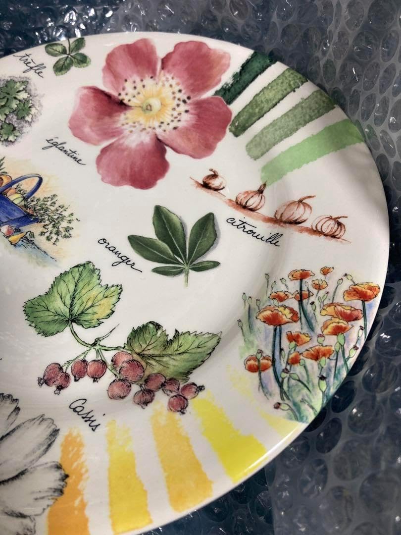 gien COULEURS DU TEMPS皿5枚セット gien COULEURS DU TEMPS皿5枚セット