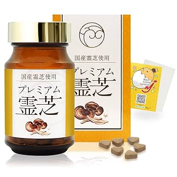 超希少 安曇野白鯨トリプルヘッド 観賞価値・資産価値ともに高いプレミア株 Amazon | 青島文化教材社 スカイネット 1/12 完成品バイク