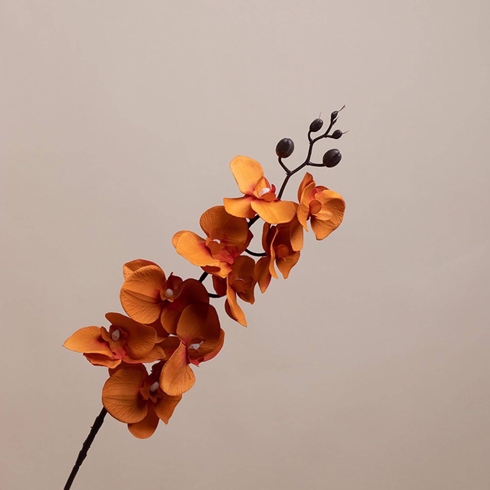 BBTISG 9 Heads Artificial Fake Butterfly Orchid, Fake Silk Phalaenopsis Heads for Wedding Floral Bouquet Decor Silk Phalaenopsis Fake Butterfly Orchid for Wedding Floral Bouquet Decor (Color 11)