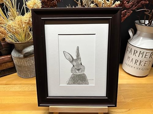 Bunny Rabbit Hare Nature Wildlife Graphite Pencil Art Sketch Drawing Print Picture Limited Edition Titled 'Hare I Am' by David Allen (11x14 Brown