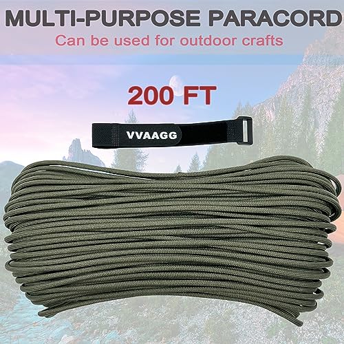 View 4