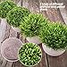 CEWOR 4 Packs Artificial Potted Plants Bathroom Fake Shelf Plant Office Table Decor Mini Green Faux Topiary Kitchen Cabinet Farmhouse Decorations