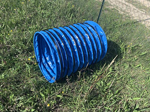 Chien courant dans le tunnel rigide DOG Copenhagen