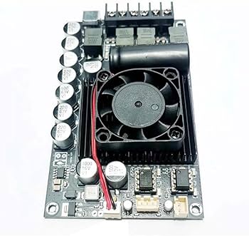 Amazon.com: BTuregsau HiFi Upgraded MAX Version TPA3255 600W High