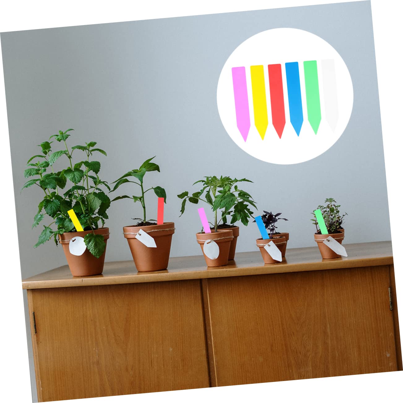 Kisangel Étiquettes pour Plantes de Jardin 600 Pièces Étiquettes pour Plantes en Plastique Bords Lisses Et pour Fleurs Légumes