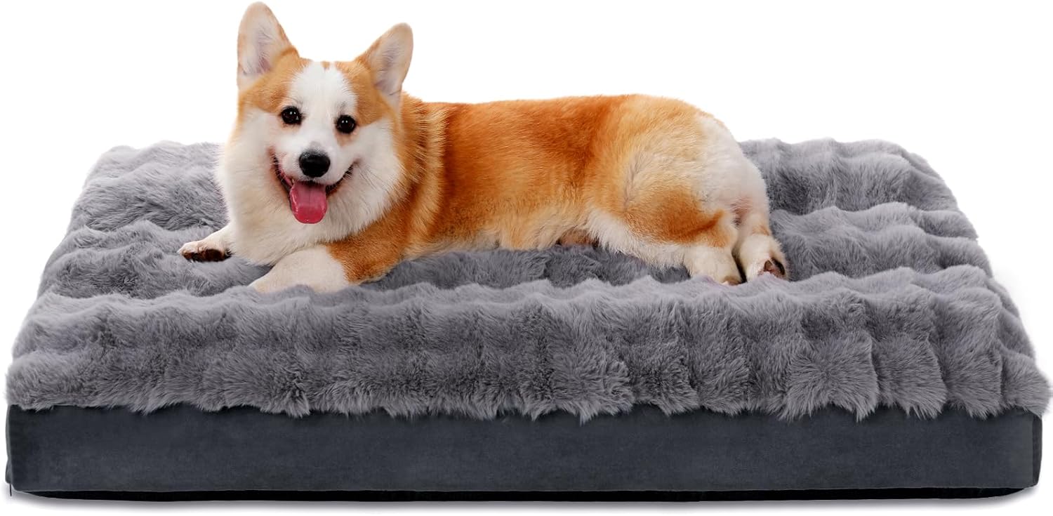 Dog Beds for Large Dogs,Orthopedic Dog Bed, Soft Plush