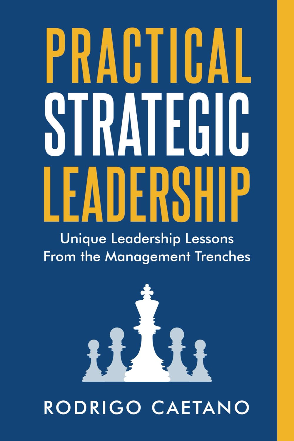Practical Strategic Leadership: Unique Leadership Lessons from the Management Trenches