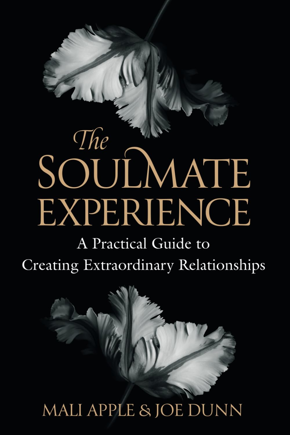 The Soulmate Experience: A Practical Guide to Creating Extraordinary Relationships