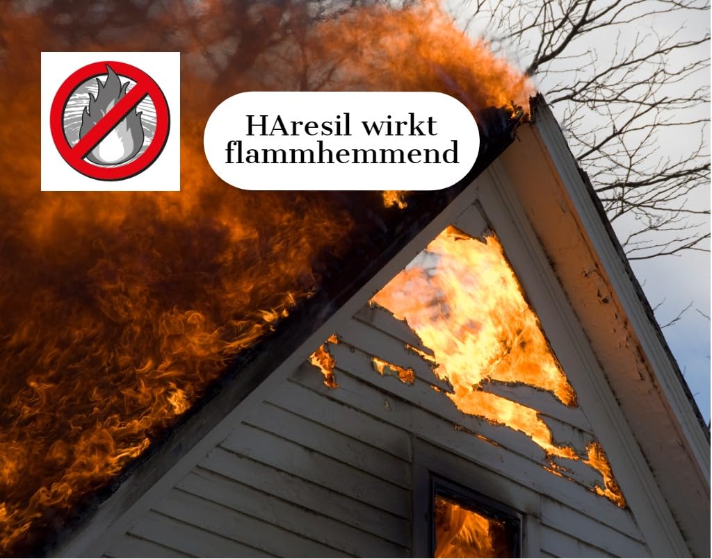 Biologischer Holzschutz HAresil Basic 20l Holzschutzlasur zum Vorbeugen und Bekämpfen von Pilze, Holzwurm, Holzschädlinge, Holzschutz für Innen und Außen