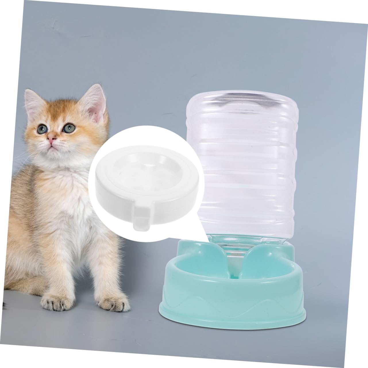 8stücke Ersatzfilter Für Katzen Und Hundetrinkbrunnen Aktivkohlefilter Für Sauberes Wasser Kompatibel Mit Trinkspender Effektive Geruchs Und Verunreinigungsentfernung