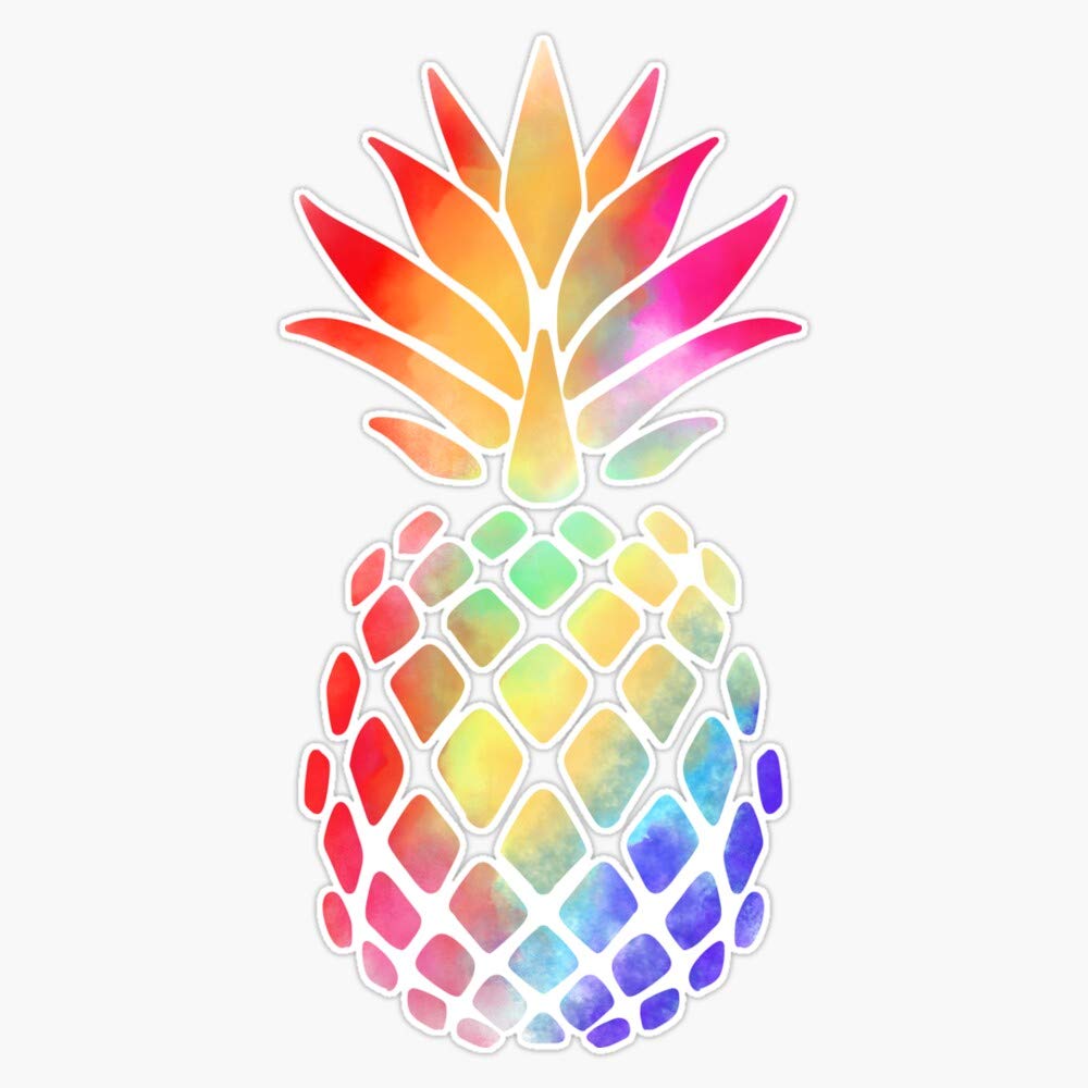 Magnet Rainbow Pineapple Viny Magnetic Bumper Sticker 5"