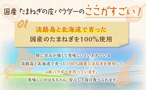 NICHIGA 国産たまねぎの皮パウダー 110g