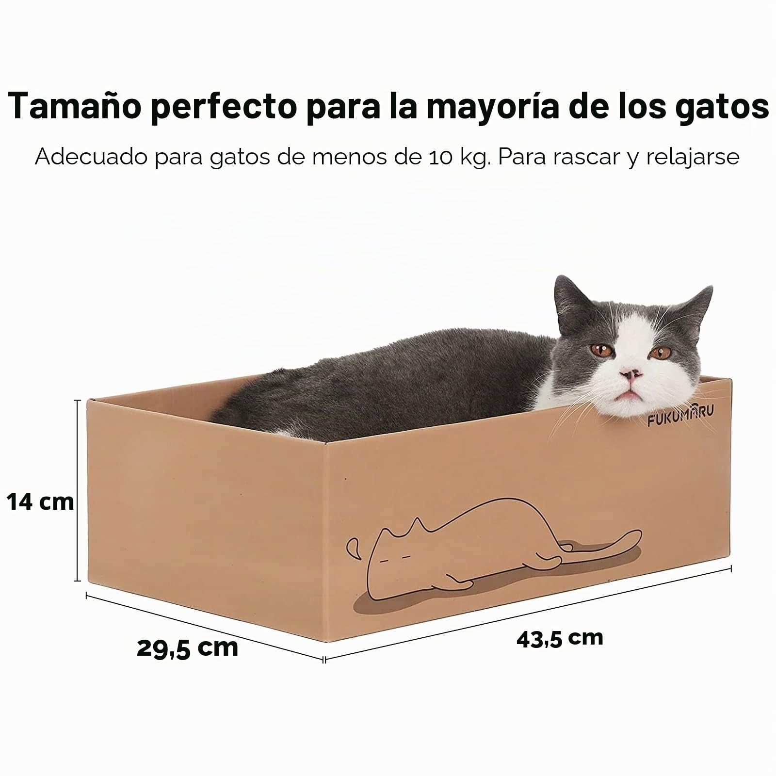 FUKUMARU Gato rascador de cartón 5 Piezas con Caja, Reversible, Cat Scratch Pad, Kitty Ondulado rascador Cama