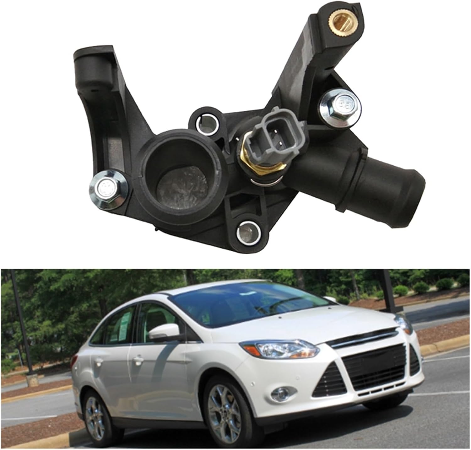 軟部外科 2 (プレミアム・サージャン2) インターズー ソフィーナ iP