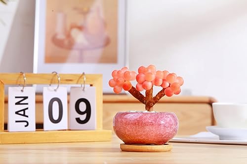 Miniatura 4 de LAMDAWN Lindas macetas de cerámica para suculentas, macetas de 3.7 pulgadas con drenaje y bandeja de bambú, juego de 5 plantas no incluidas (colores