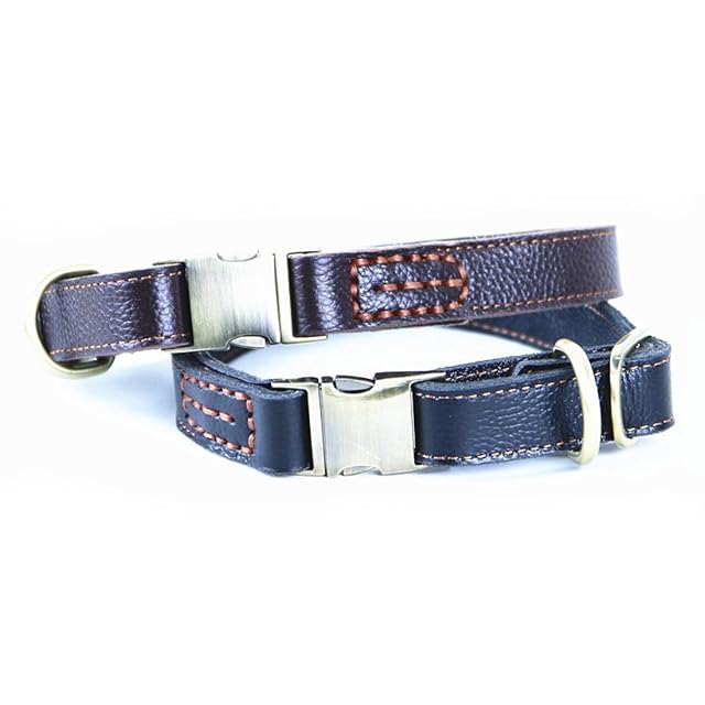 Foto 4 de 6 de Collar para Perro Collar básico de Piel con Cierre de Clic, Ajustable
