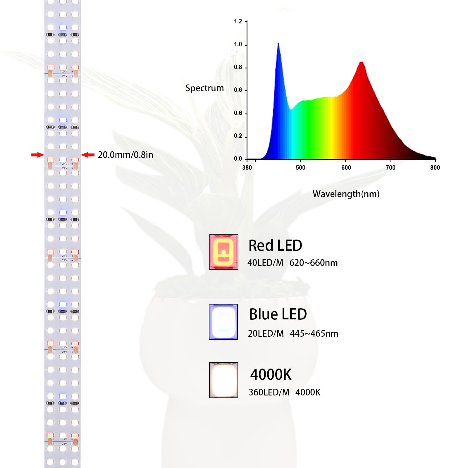 2M LED Pflanzenlampe 24V 55W 840 LEDs Vollspektrum Pflanzenlicht mit Hohem PPFD Streifen Pflanzenleuchte Schneidbar Flexibles Selbstklebend für Keimlinge, Gemüse, Blüten(Ohne Netzteil)