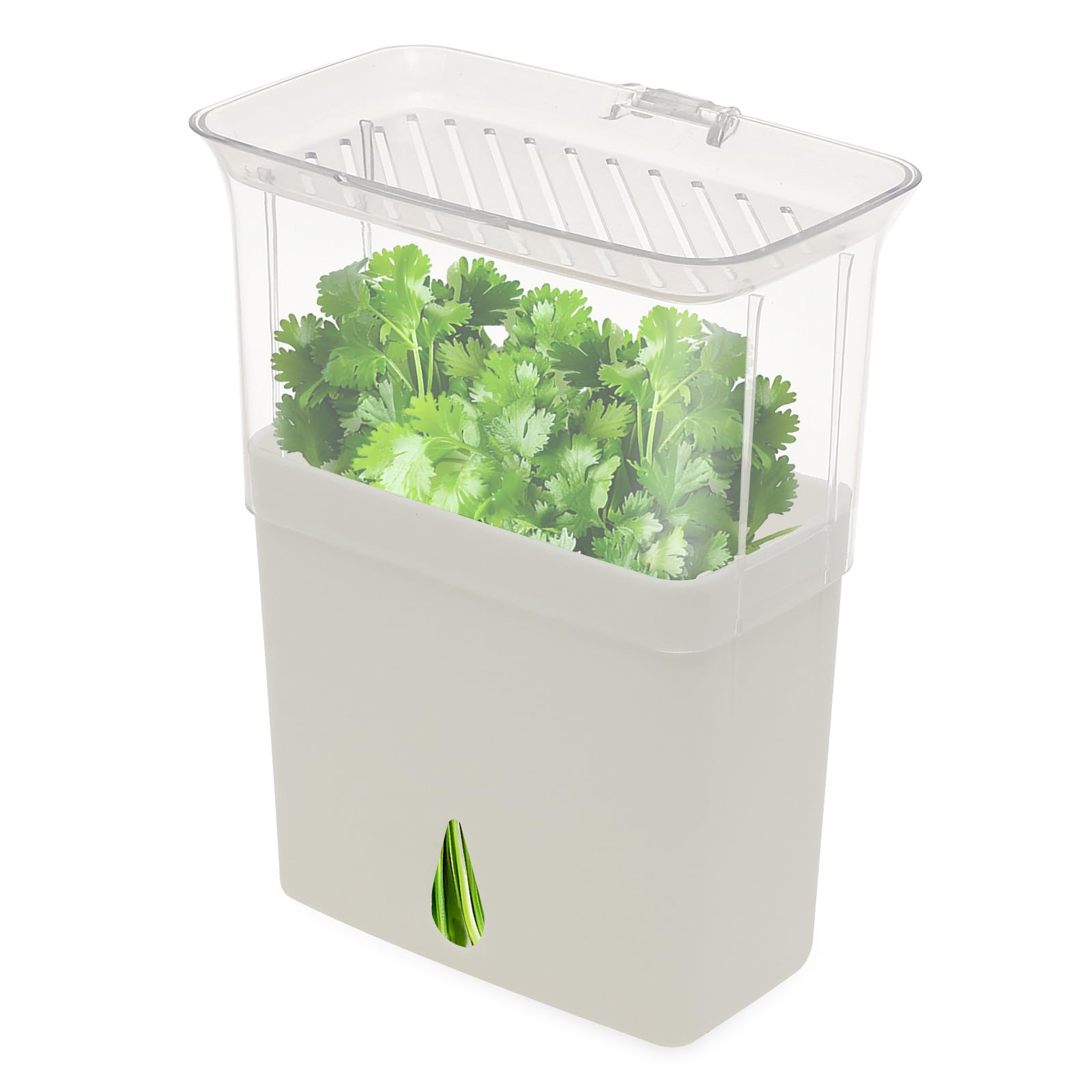 Zhjiutak White Herb Keeper For Fridge, Fresh Cut Herb Pot Storage Saver Box, Includes Removable Dividers, Keeps Fresh Herbs For 3 Times Longer