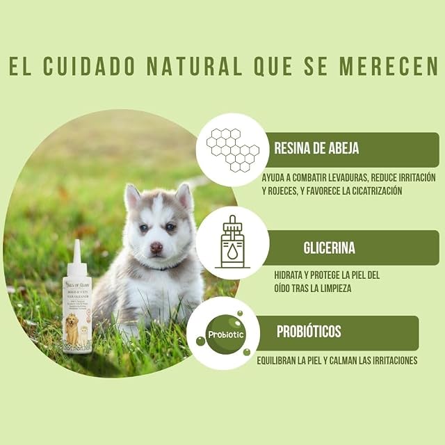 Foto 2 de 6 de Tails of Glory Limpiador de oídos para Perros y Gatos Natural 100 ml