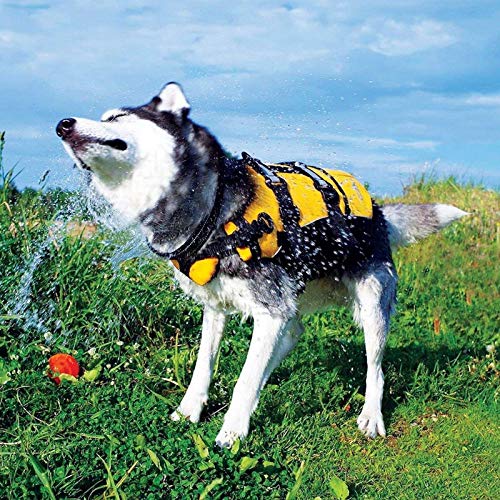 EzyDog Schwimmweste Hund - DFD Hundeschwimmweste - Schwimmwesten für für Kleine, Mittelgroße und Große Hunde - Rettungsweste mit Griff und Reflektoren, Größenverstellbar (M, Rot)