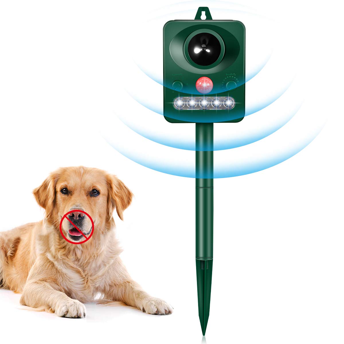 motion activated dog deterrent