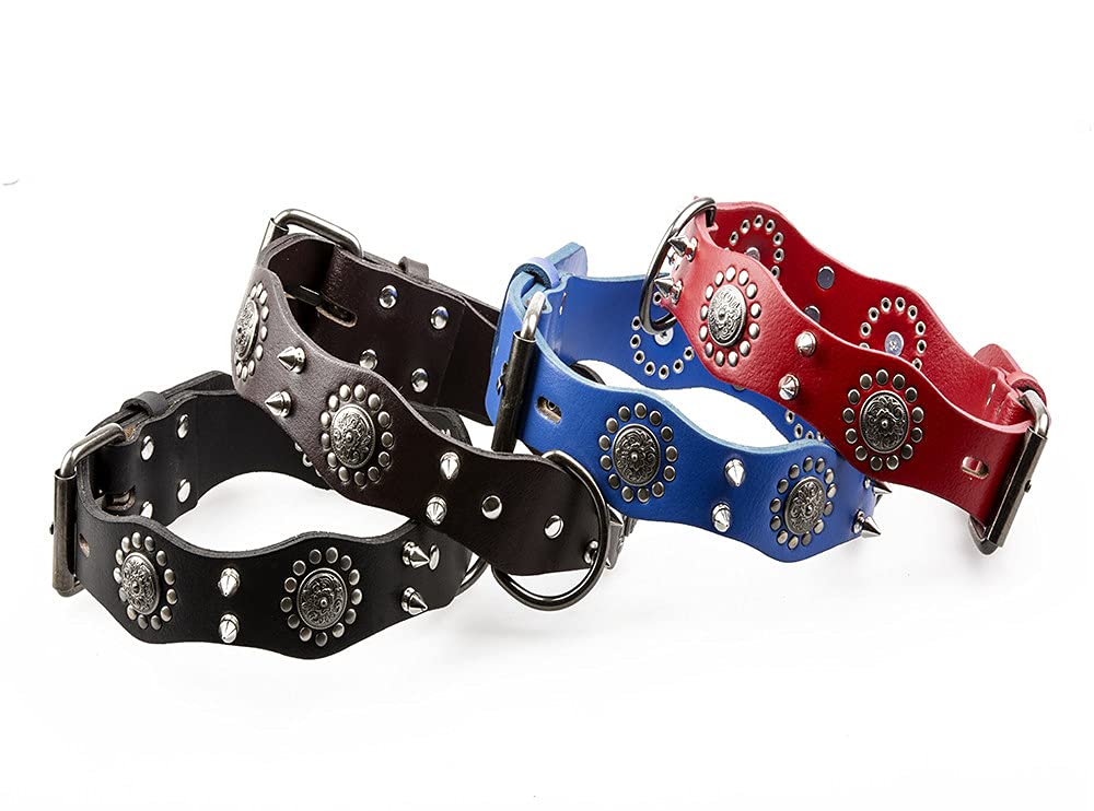 Collari (cani Di Grande Taglia - Foto 7