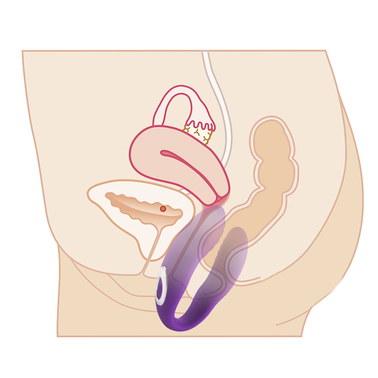 dm gleitgel wasser U Shape 12 Speed Pink Dual Waterproof Vibrator STHGSV-026