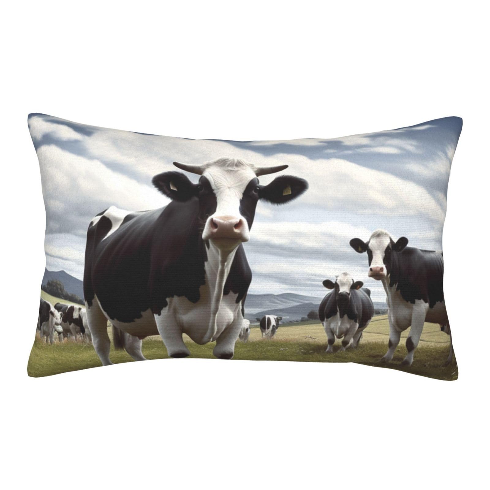 Velvet Pillowcases 20"x30" Ultra Soft Breathable Pillow Cases, Luxury Fuzzy Throw Pillow Covers with Zipper, Farm Cow Pictures Pillow Shams All Seasons Decorative Cushion Cases for Couch