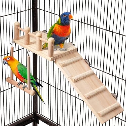 knIykmr Bird Perches Platform Swing with Climbing Ladder, Cage Accessories Wooden Playing Gyms Exercise Sturdy for Parakeet, Parrot, Lovebird, Cockatiel, Hamster - Thumbnail 3