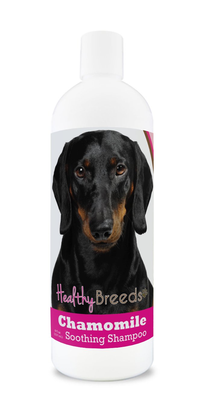Healthy Breeds Yorkshire Terrier Chamomile Soothing Dog Shampoo 8 oz — view 110