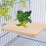 osierr6 Bird Perch Stand Platform Toy,Natural Wood Playground Paw Grinding for Bird Parrot Macaw Afr