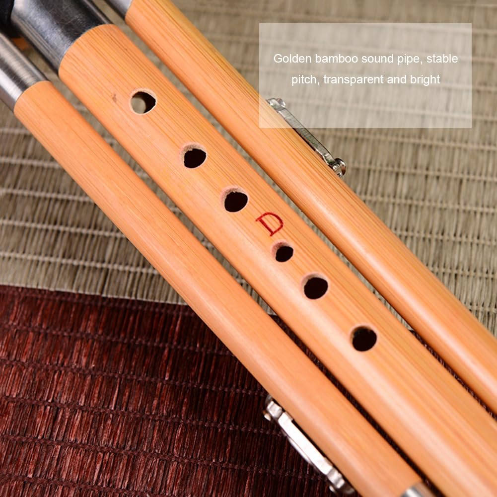 Professionnel Hulusi Flûte en bambou chinois fait à la main Instruments à vent musicaux ethniques pour débutants (Minor D key)