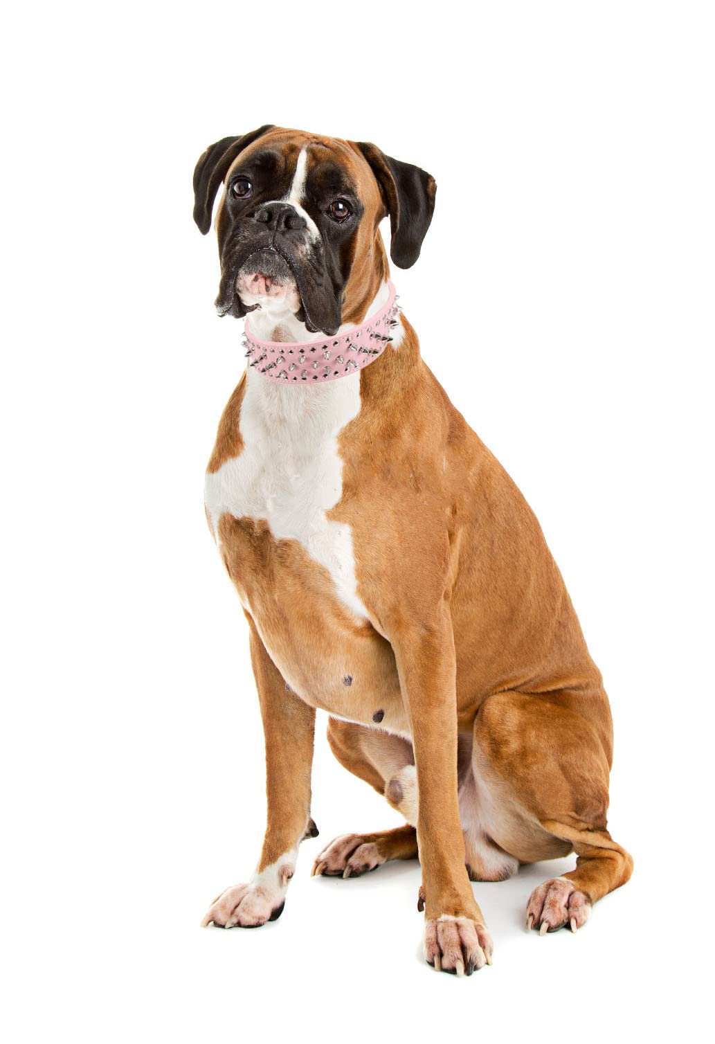 HOOT Hundehalsband Aus PU-Leder Mit Nieten - Verstellbar, 5,1 Cm Breit, In Rosa