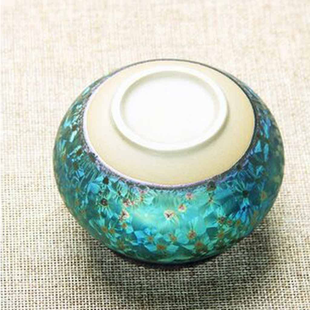 XYNSNDB GaRcan Przenośny ceramiczny pojemnik na herbatę, przenośny ceramiczny czajniczek do wymiany elementów piekarnika, słoik na przyprawy, przechowywanie słodyczy, pojemnik na żywność, miska