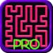LOOPical Pro
