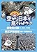空から日本を見てみよう１２　都電荒川線・三ノ輪橋～早稲田／東武伊勢崎線・浅草～東武動物公園 [DVD]