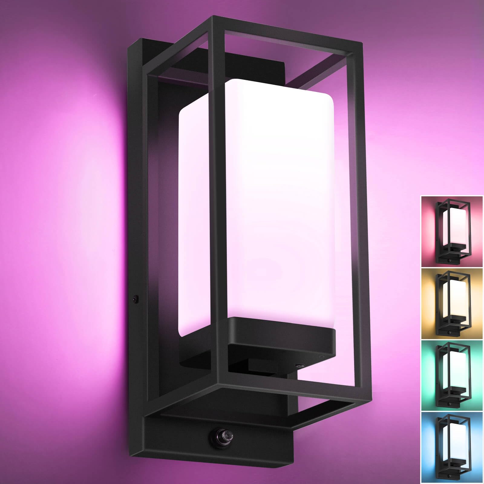 RAYVO Smart Porch Lights RGBCW Outdoor Wall Light, Color Changing Sconce