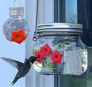 2 Pack Little Bird Wild Birds Feeding Jar Wild Bird Feeders Beautiful Mason Jar Hummingbird Feeder Clear Window Hummingbird Feeder Mason Jar Hummingbird Feeder for Outdoor Garden Decorations, Portable Outdoor Hanging Hummingbird Feeders Clear Little Bird